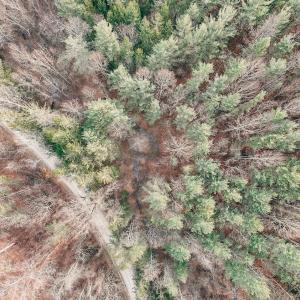 DJI_20260116095454_0031_D