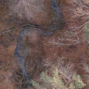 DJI_20260116095439_0030_D