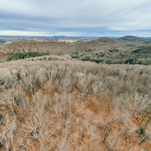 DJI_20260116094525_0017_D