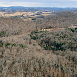 DJI_20260116094434_0015_D