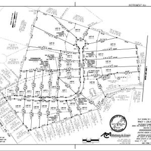 Lot 1 The Jackson at Ashley Plantation