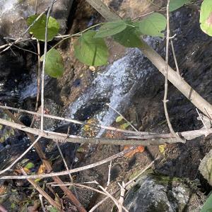 Photo Oct 23 2025, 2 37 35 PM