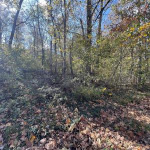 Photo Oct 23 2025, 2 41 41 PM