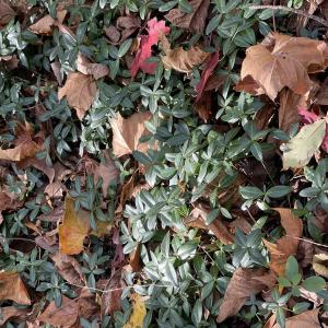 Photo Oct 23 2025, 2 50 44 PM