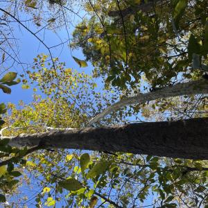 Photo Oct 23 2025, 2 53 47 PM