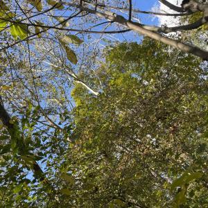 Photo Oct 23 2025, 3 00 50 PM