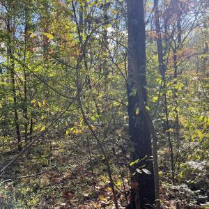 Photo Oct 23 2025, 3 01 08 PM