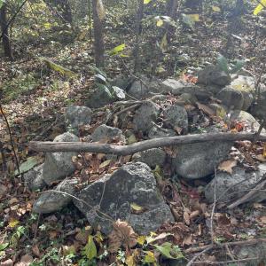 Photo Oct 23 2025, 3 05 14 PM