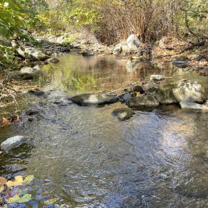 Photo Oct 23 2025, 2 40 00 PM