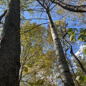 Photo Oct 23 2025, 3 02 05 PM