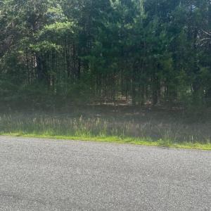 Photo #3 of 13615 BLACK MEADOW RD, SPOTSYLVANIA, VA 10.3 acres