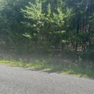 Photo #6 of 13615 BLACK MEADOW RD, SPOTSYLVANIA, VA 10.3 acres