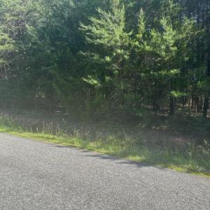 Photo #5 of 13615 BLACK MEADOW RD, SPOTSYLVANIA, VA 10.3 acres
