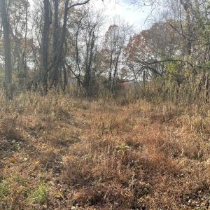 Photo Nov 07 2025, 2 57 07 PM