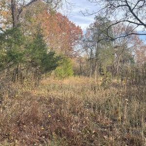 Photo Nov 07 2025, 2 57 12 PM