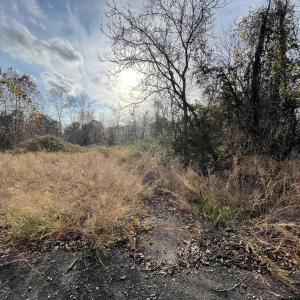 Photo Nov 07 2025, 2 58 20 PM