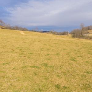 DJI_20260114142620_0656_D