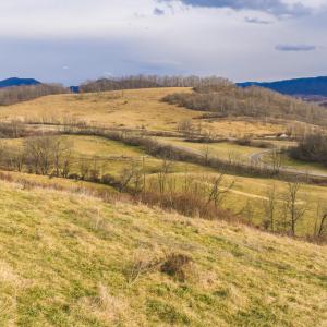 DJI_20260114142736_0658_D