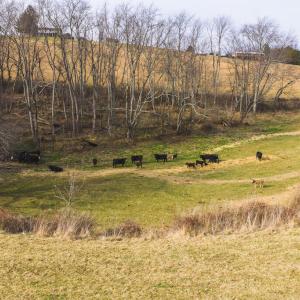 DJI_20260114143645_0689_D