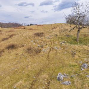 DJI_20260114145746_0710_D