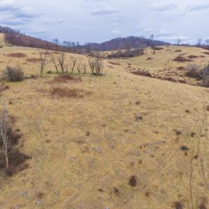 DJI_20260114150142_0722_D