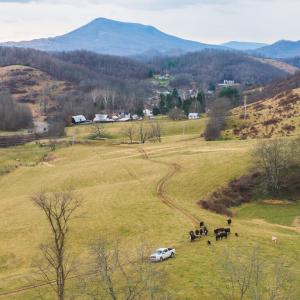 DJI_20260114150618_0738_D