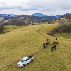 DJI_20260114150637_0740_D