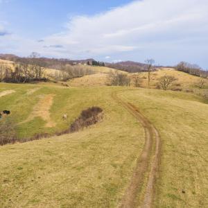 DJI_20260114143556_0686_D