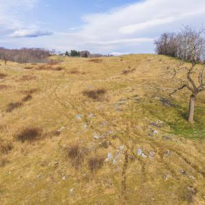 DJI_20260114143741_0692_D