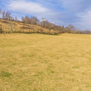 DJI_20260114142616_0655_D