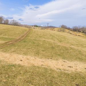 DJI_20260114143341_0678_D