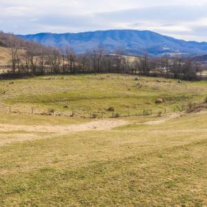 DJI_20260114143433_0682_D