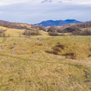 DJI_20260114143815_0694_D