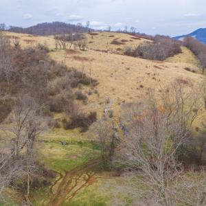 DJI_20260114150105_0720_D