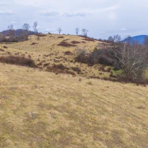 DJI_20260114150209_0724_D