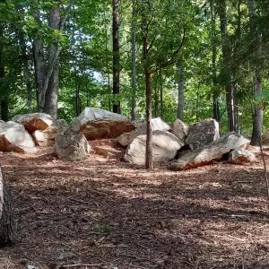 rock garden 2024-09-12