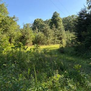 Photo #2 of GOLD DALE RD, LOCUST GROVE, VA 2.3 acres