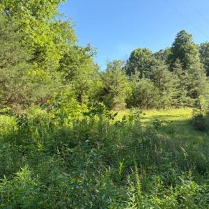 Photo #3 of GOLD DALE RD, LOCUST GROVE, VA 2.3 acres