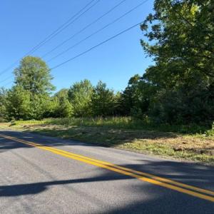Photo #4 of GOLD DALE RD, LOCUST GROVE, VA 8.0 acres