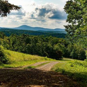 Cabin-Property--_DSC3038 (1)
