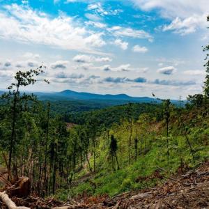 Cabin-Property--_DSC3048