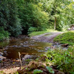Cabin-Property--_DSC3075