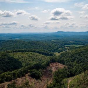Cabin-Property--DJI_0005
