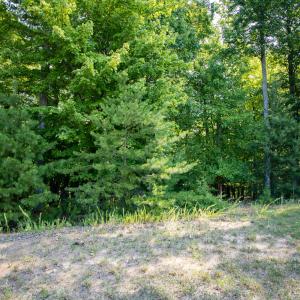 Lot 1 Sweetbriar Bay Dr-1