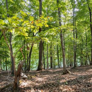 Lot 1 Sweetbriar Bay Dr-4