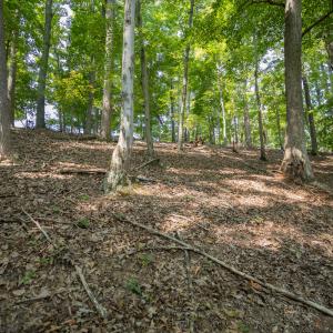 Lot 1 Sweetbriar Bay Dr-6