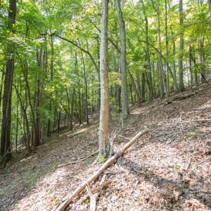 Lot 1 Sweetbriar Bay Dr-8