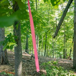 Lot 1 Sweetbriar Bay Dr-10