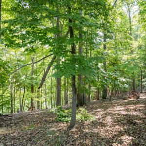 Lot 1 Sweetbriar Bay Dr-2