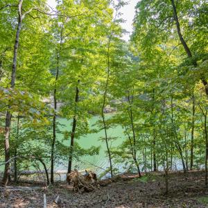 Lot 1 Sweetbriar Bay Dr-7